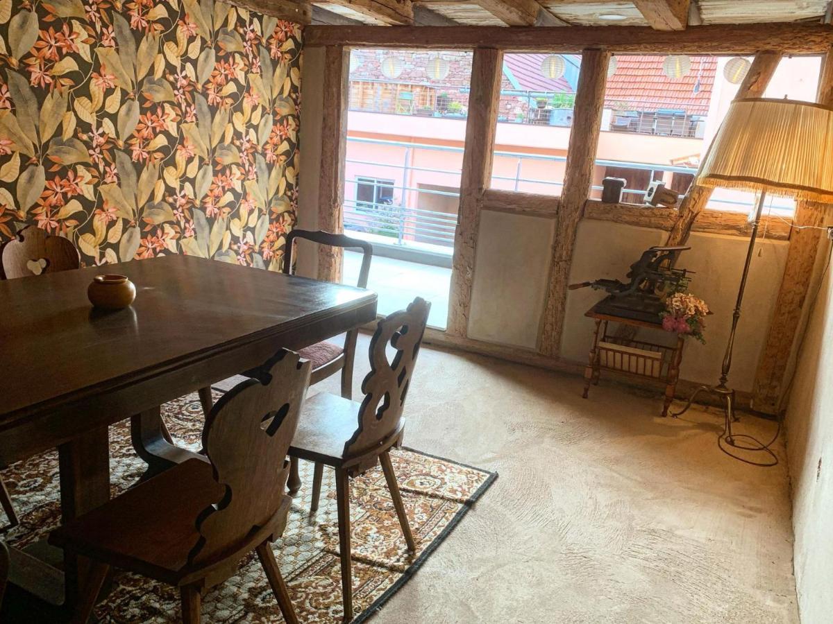 Apartment De Charme A La Campagne, Proche De Strasbourg Fessenheim-le-Bas