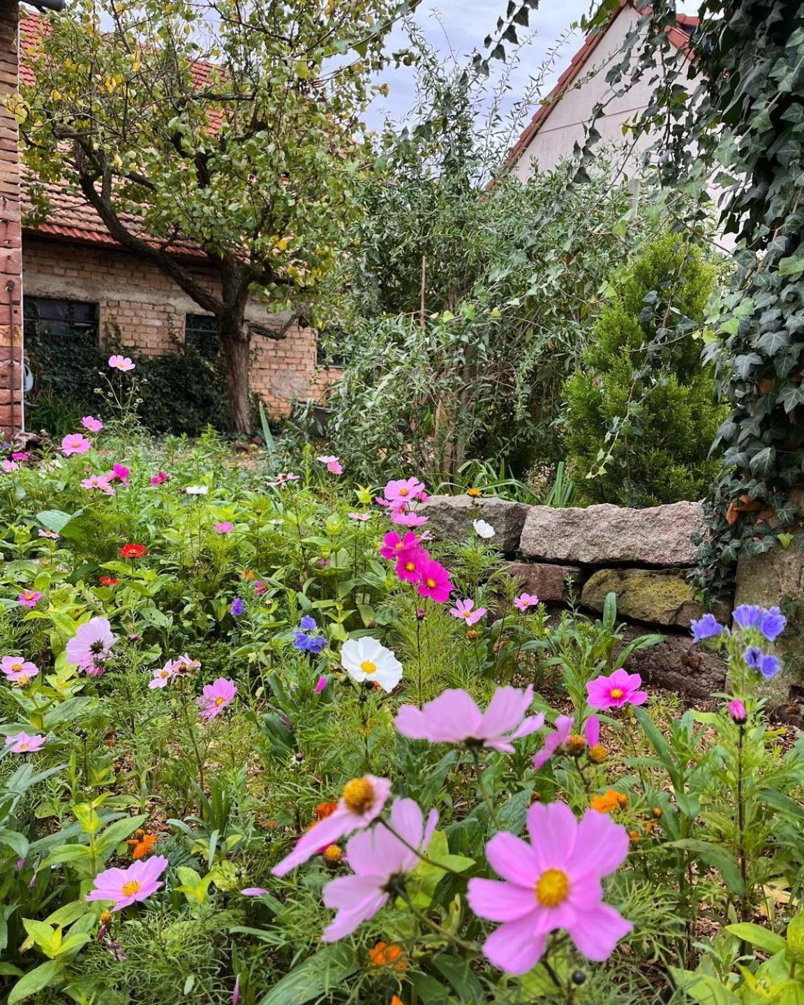 De Charme A La Campagne, Proche De Strasbourg * Fessenheim-le-Bas