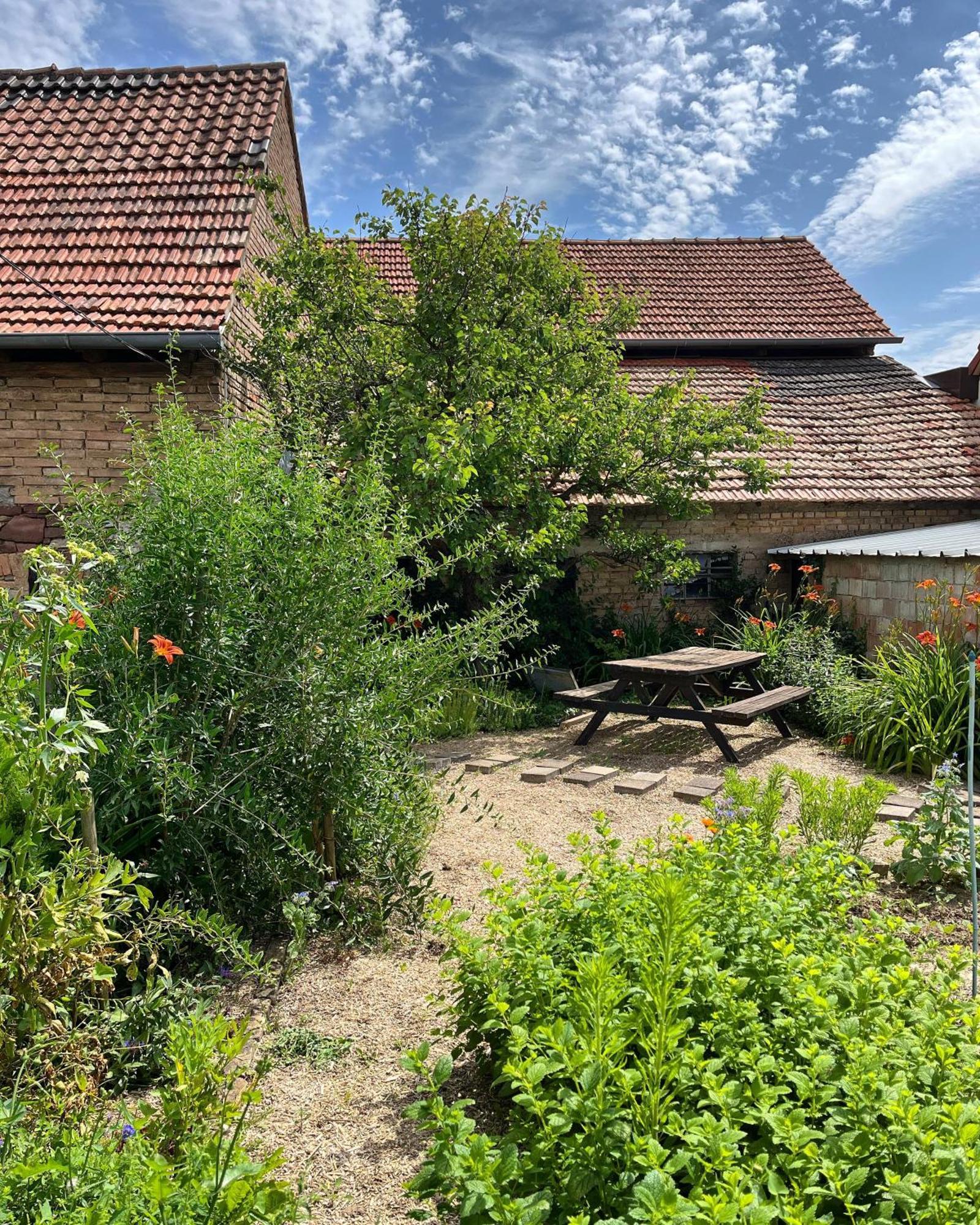 Apartment De Charme A La Campagne, Proche De Strasbourg *